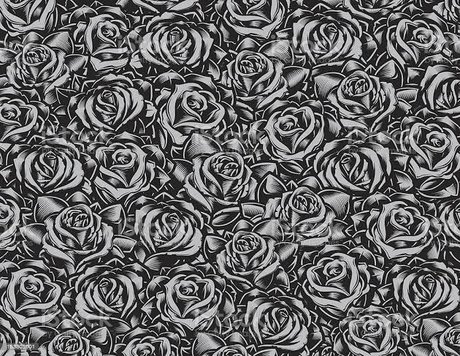 tan onlyfans nackt porno bild