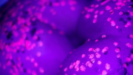 ihavapiness beste nette fotos