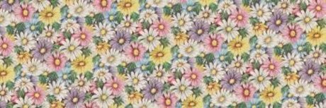 Claire Taylor schauspielerin kostenlose bild