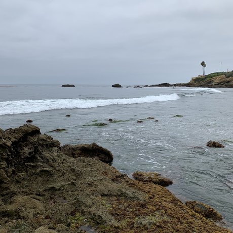 Stella St Clair schauspielerin erwachsene bilder