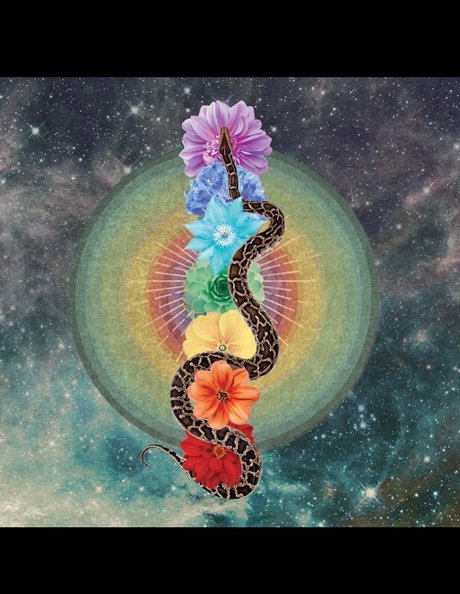 PhoenixRhysing beste xxx foto