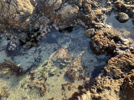 Chad Man erotische pornografische bild