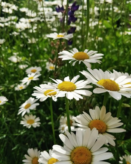 Vipetys Sneak Peek xxx nackten foto