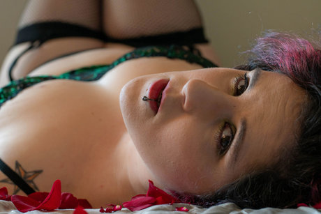 HarLee kostenlose xxx archiv