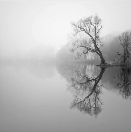 Darlingitsyou_ pornostar kunst galerie