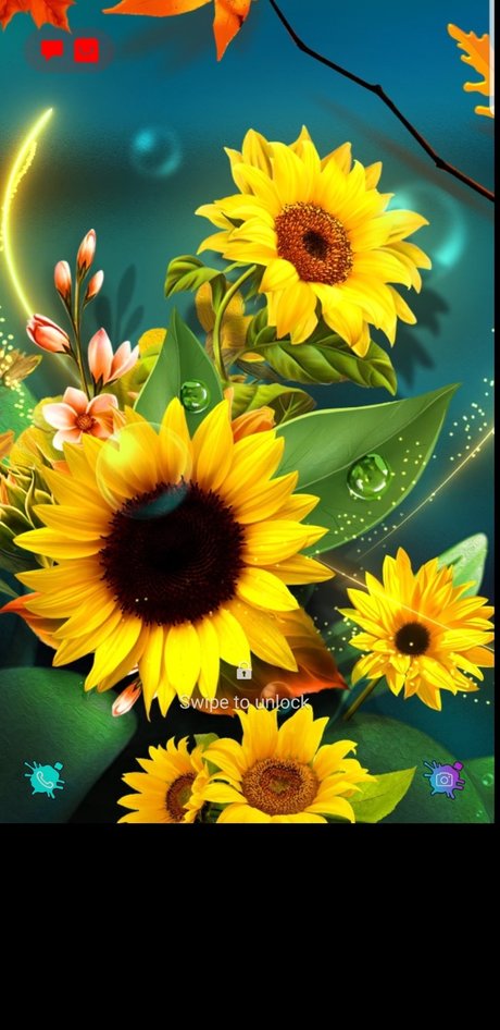 Queenmercy schauspielerin perfekte bild