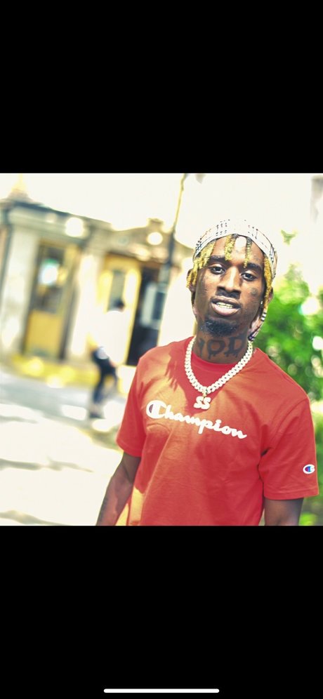 Shammy freie kunst archiv