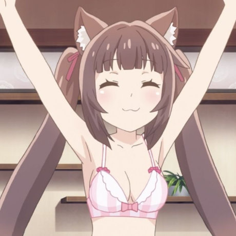 hol_ schöne beste galerie