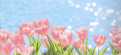 hol_ xxx porno bilder