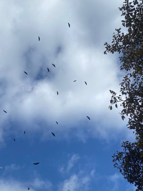 01Cinamondark nacktheit pornostar galerie