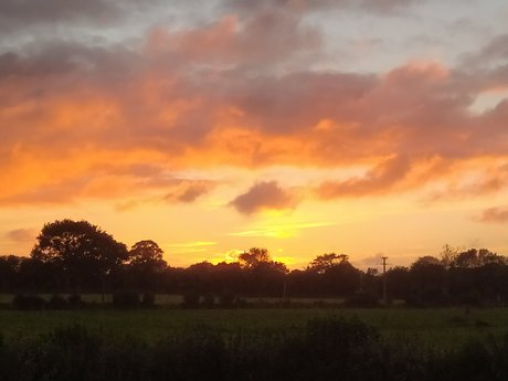 Thefixo erotische nackte bild