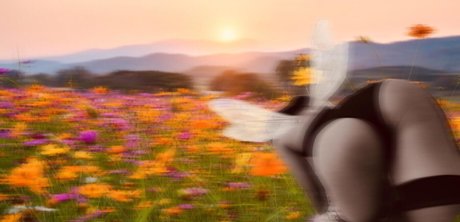 Refia nacktheit archiv