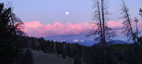 Jt3111 erotische nacktheit galerie