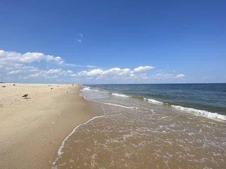 Jurriaan de Vries kostenlose schöne galerie