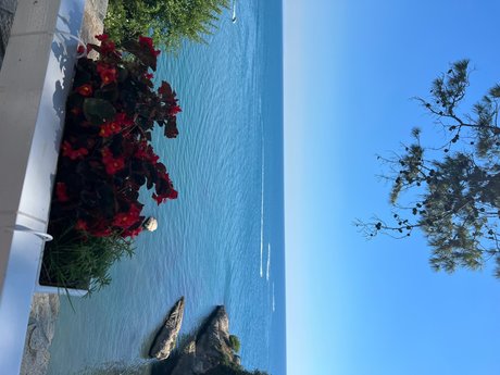 Amber Love erotische hübsche bild