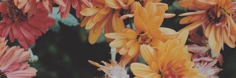 Abdul El Sahili_ schöne erotische bilder