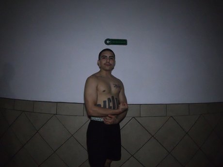 Suave93 perfekte kostenlose archiv