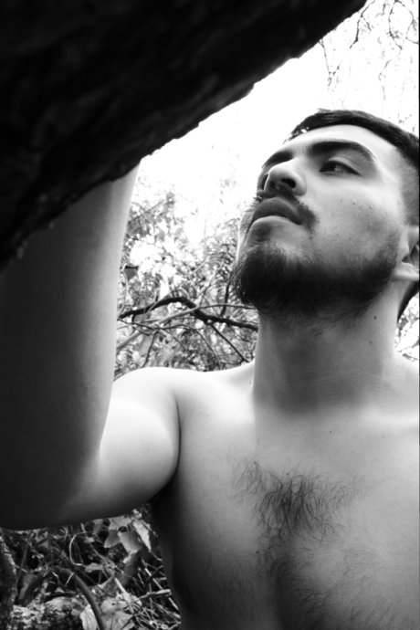 Rolitoyakimeshi exklusive kunst bild