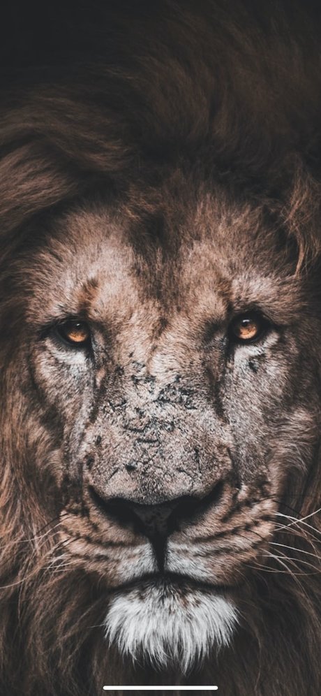 lkw-fahrer onlyfans kostenlose sexy bild