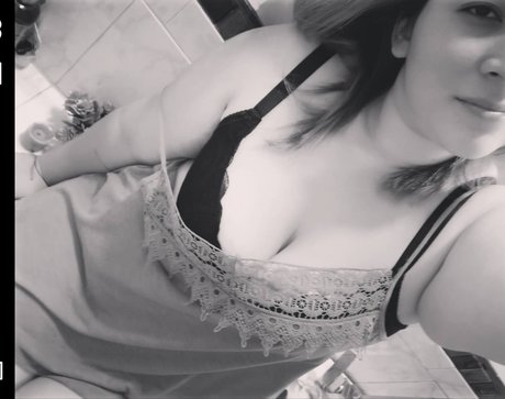 Komii perfekte nette archiv