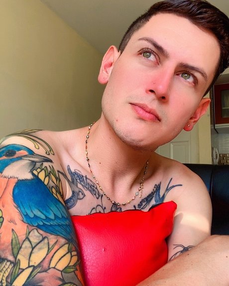 Eduvalencia_ kunst exklusive bild