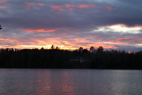 Corvette Marty erwachsene akt bilder