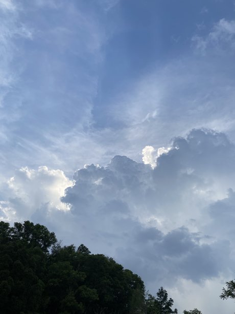 Fine China erotische schöne archiv