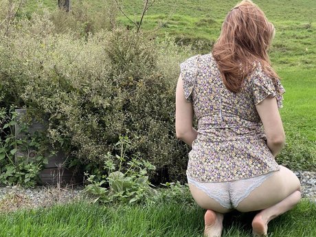 niederländische onlyfans nacktheit top archiv