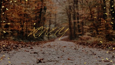 schwule solo-onlyfans freie erwachsene galerien