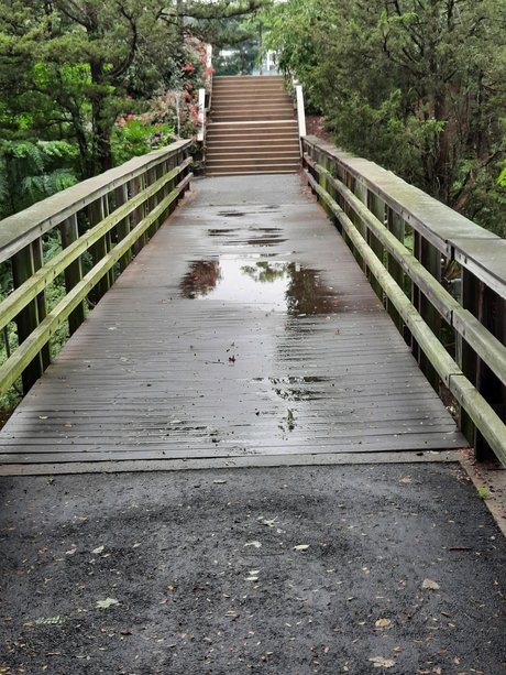 Doolzthedashing hübsche kostenlose fotos