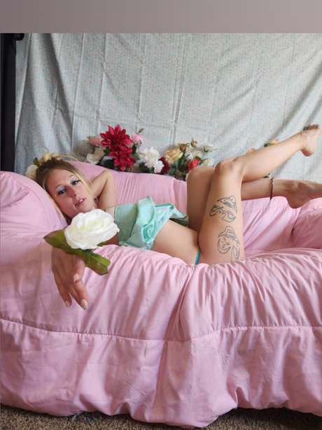 Dabbalette top archiv