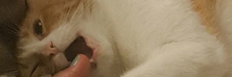 Professor Tokes sexy nacktheit archiv