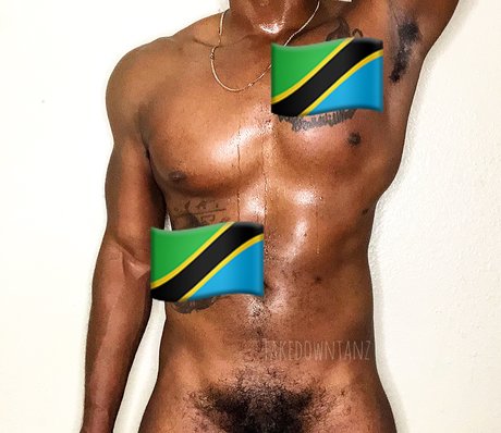 TAKE DOWN TANZ_ nackt hübsche foto