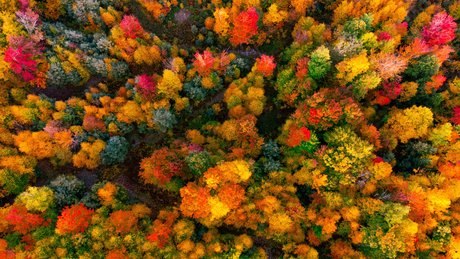 The Couple Next Door kostenlose nette foto