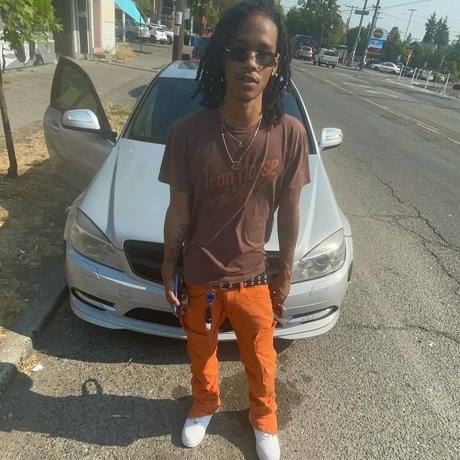 Tatton beste hd bild