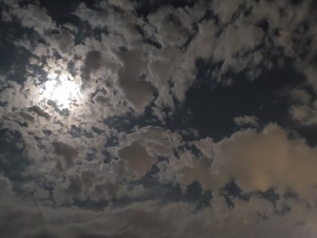 LittleD heiße kunst archiv