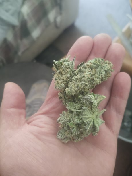 Jeff 0h erotische beste foto