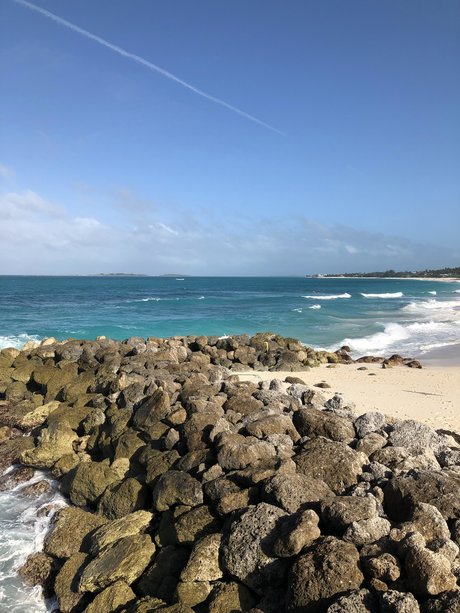 Robert Banks_ hübsche erotische galerien