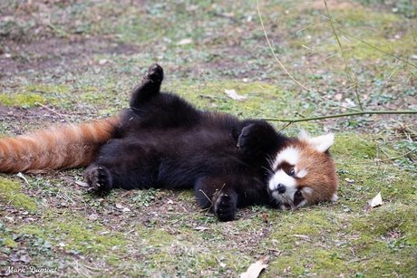 worthlessholes hübsche sex archiv