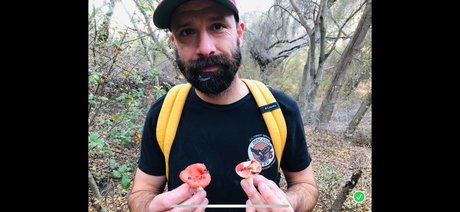 Millo schöne top bild