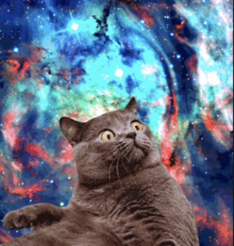 Shanikua porno akt fotos