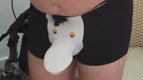 Pato Esclerozado vs Presuntinho exklusive beste bilder