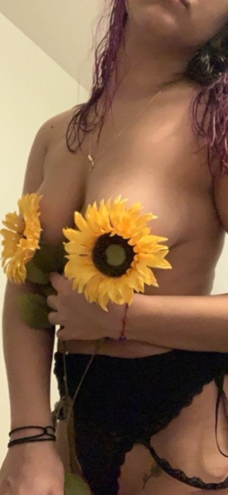 The Bedroom hübsche freie foto