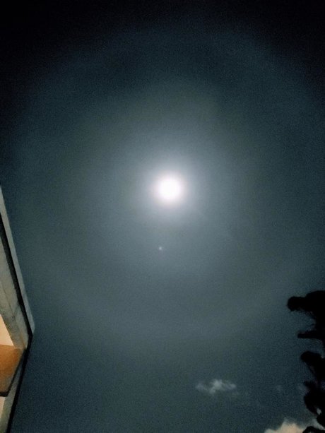 Goku Black nackt kostenlose archiv