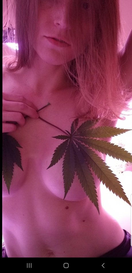 Pufferpfuckery freie perfekte galerien