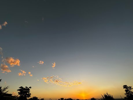 _iamfenixlardy_ pornostar erwachsene bild