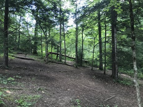 Traci Manicae hd sexy foto