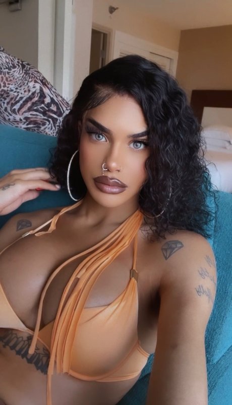 The XXXperience_ porno pornostar archiv