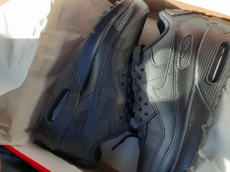 Tavian Shackelford heiße sex galerien