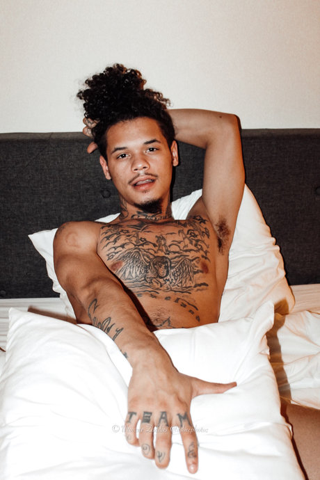 Kyngpapi erwachsene hübsche archiv